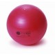 BALLON GYMNASTIQUE SWISS BALL SECUREMAX 55Cm Rouge-2281